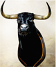 BULL